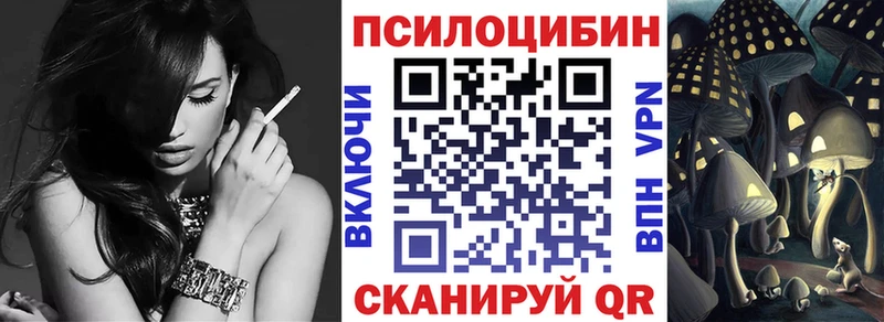 Псилоцибиновые грибы Psilocybine cubensis  Полысаево 